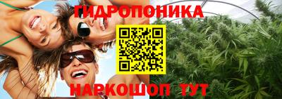 стаф Коммунар