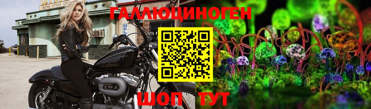 Псилоцибиновые грибы MAGIC MUSHROOMS Ялуторовск